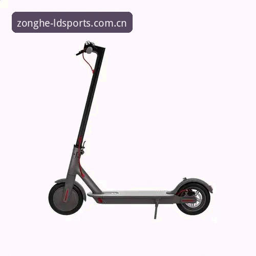 ldsports电脑版 LDSports体育平台使用指南:如何快速上手ldsports电脑版